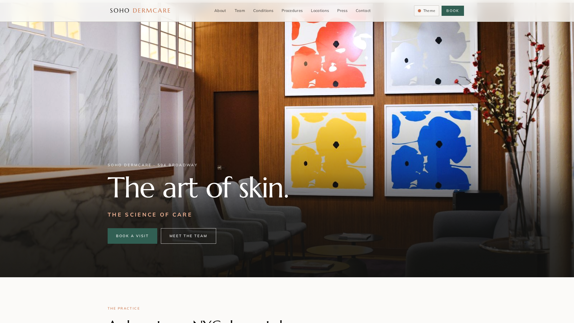 Soho Dermcare homepage — a full-bleed photograph of the practice's SoHo waiting room beneath the headline "The art of skin."